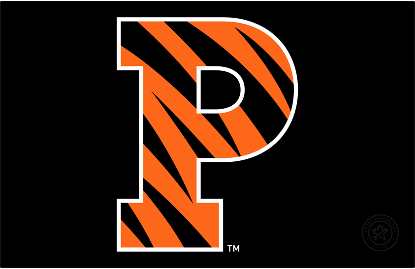 Princeton Tigers 2004-Pres Primary Dark Logo diy iron on heat transfer